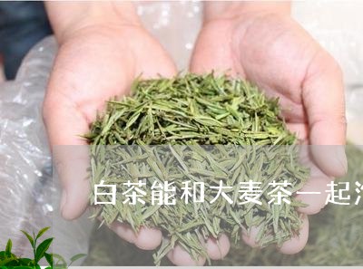 白茶能和大麦茶一起泡吗/2023110105938