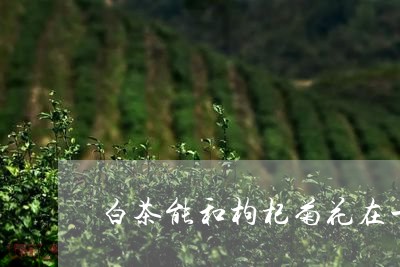 白茶能和枸杞菊花在一起吗/2023110784958