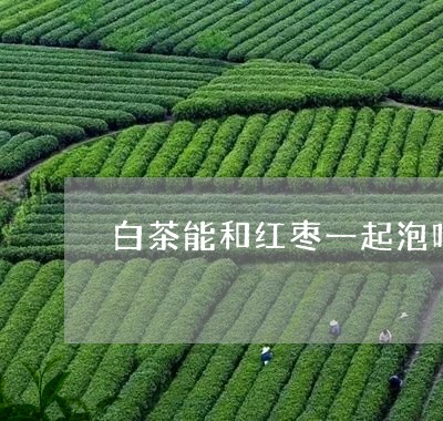 白茶能和红枣一起泡吗/2023100776128