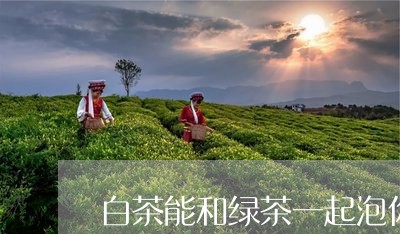 白茶能和绿茶一起泡你/2023100729491