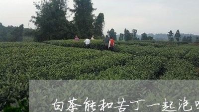 白茶能和苦丁一起泡吗/2023100712407