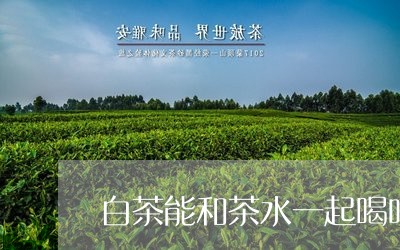 白茶能和茶水一起喝吗吗/2023110186293