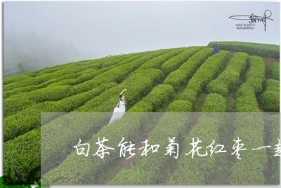 白茶能和菊花红枣一起泡吗/2023110725836