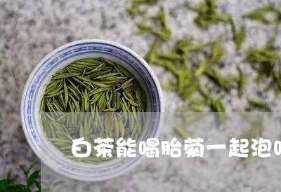 白茶能喝胎菊一起泡吗/2023100775161