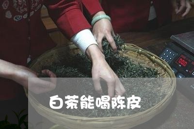 白茶能喝陈皮/2023052117149