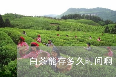 白茶能存多久时间啊/2023070145081