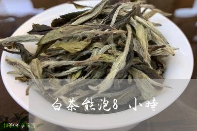 白茶能泡8小时/2023073053837