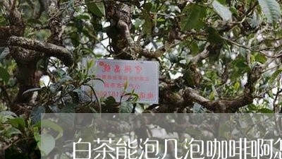 白茶能泡几泡咖啡啊怎么做/2023110767148