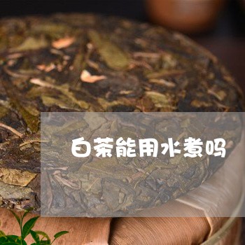 白茶能用水煮吗/2023070102736