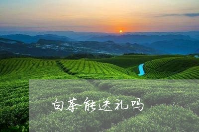 白茶能送礼吗/2023052114945