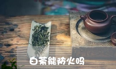 白茶能防火吗/2023052154039