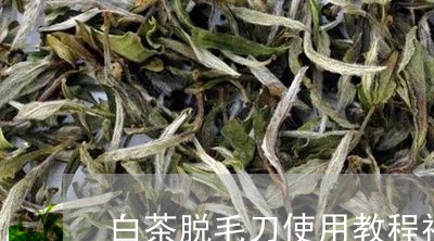 白茶脱毛刀使用教程视频/2023110104037