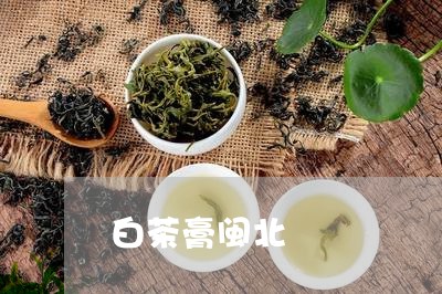 白茶膏闽北/2023051005036