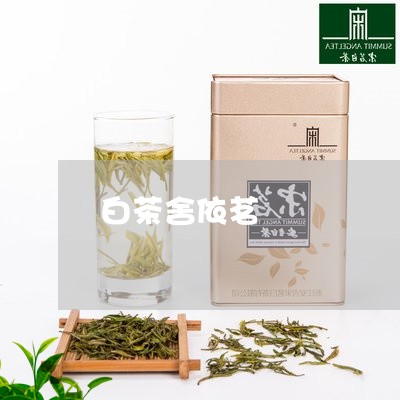 白茶舍依茗/2023051099381