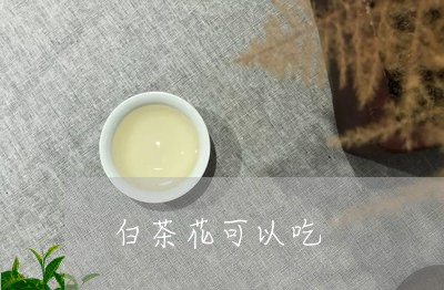 白茶花可以吃/2023052117481