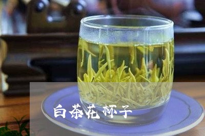 白茶花杯子/2023051061634