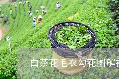 白茶花毛衣勾花图解视频/2023110151726