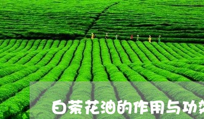 白茶花油的作用与功效/2023100714137