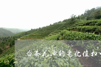 白茶花油的皂化值和谁接近/2023110774036