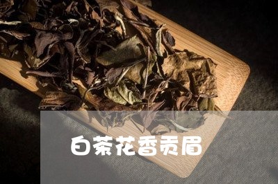 白茶花香贡眉/2023052181614