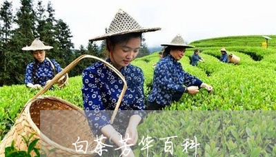 白茶芳华百科/2023052126260