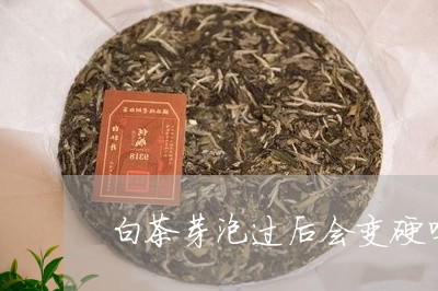 白茶芽泡过后会变硬吗/2023100737070