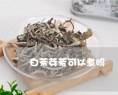 白茶芽茶可以煮吗/2023082623859