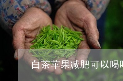 白茶苹果减肥可以喝吗/2023100747481