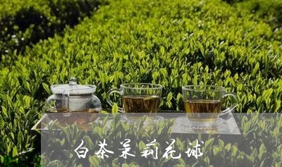 白茶茉莉花球/2023052194840