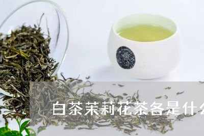 白茶茉莉花茶各是什么味道/2023110818604