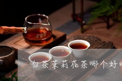 白茶茉莉花茶哪个好喝/2023100747158