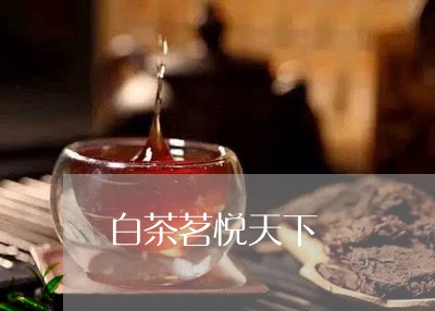 白茶茗悦天下/2023052126362