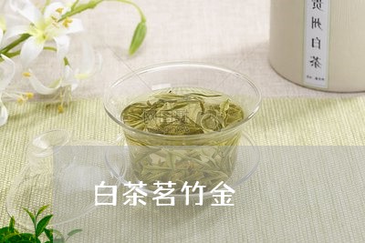 白茶茗竹金/2023051075836