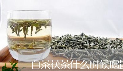 白茶茯茶什么时候喝最好/2023082586159