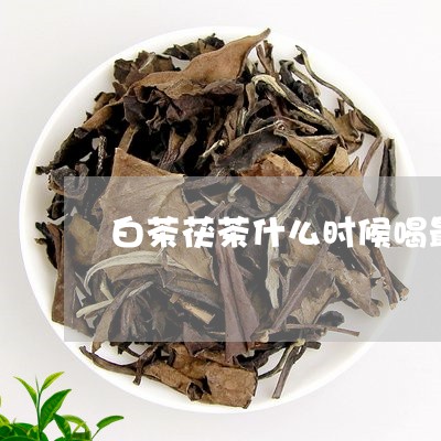 白茶茯茶什么时候喝最好/2023082625159