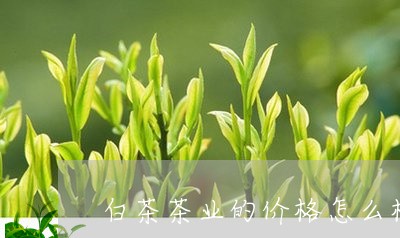 白茶茶业的价格怎么样/2023111542814