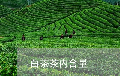 白茶茶内含量/2023052140947