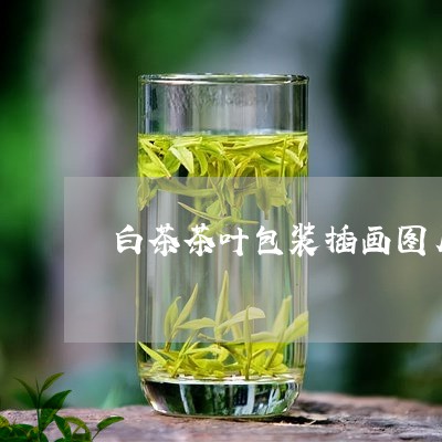 白茶茶叶包装插画图片大全/2023110868484