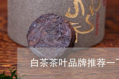 白茶茶叶品牌推荐一下/2023110730573