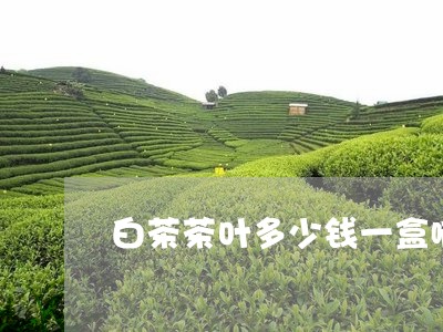 白茶茶叶多少钱一盒啊价格/2023111666937