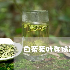 白茶茶叶存储最佳方法图片/2023110742817