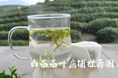 白茶茶叶店铺推荐图片高清/2023110790683