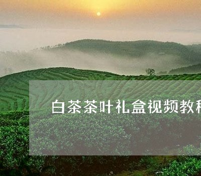 白茶茶叶礼盒视频教程大全/2023110822947