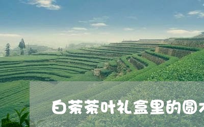 白茶茶叶礼盒里的圆木棒/2023110131683