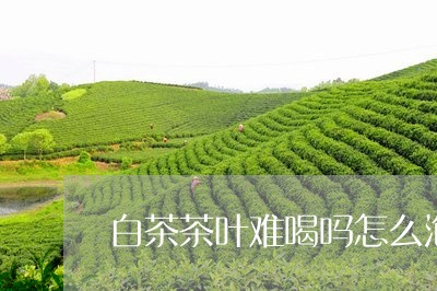 白茶茶叶难喝吗怎么泡好/2023110105066