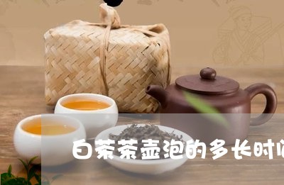 白茶茶壶泡的多长时间出汤/2023110743808