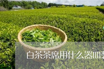 白茶茶席用什么器皿装好/2023110153946