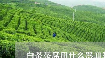 白茶茶席用什么器皿装的/2023110147393