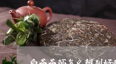 白茶茶杯怎么辨别好坏/2023100724726