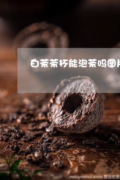 白茶茶杯能泡茶吗图片大全/2023110758460